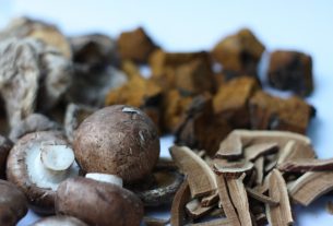 Funkcje lecznicze grzybów - jakie warto wybrać?